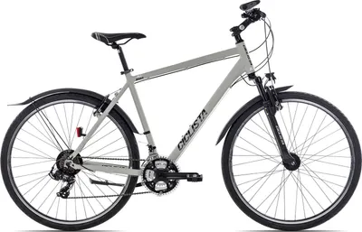 Produktbild von Ciclista All Road alltagstaugliches Herren-Crossbike 28 Zoll Hellgrau 55 cm