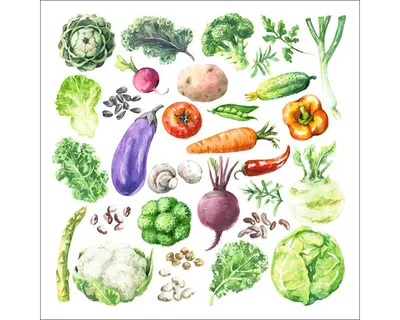 Produktbild von Glasbild Different Vegetables 50x50 cm
