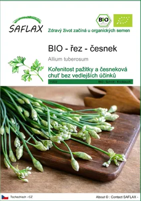 Obrázek produktu pro SAFLAX - BIO - řez - česnek - Allium tuberosum - 100 Semena