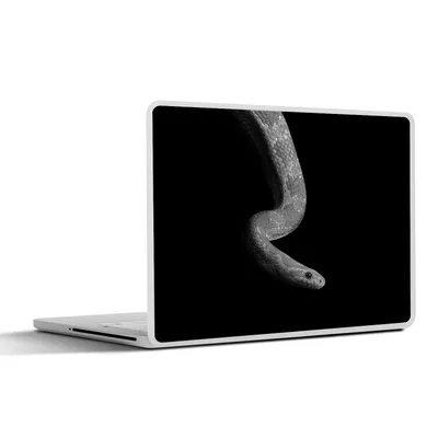 Produktbild von MuchoWow® Laptop Aufkleber Sticker Cover Tiere - Schlange - Schwarz - Weiß - Porträt 31x22.5 cm - Laptop-Deko