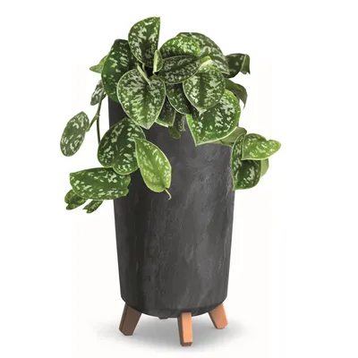 Produktbild von Blumentopf mit Füßen Hoh Pflanzkübe D 24 cm Anthrazit Kunststoff Töpfe Beton Optik Übertöpfe Geldbaum Kakteen Gummibaum