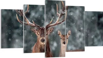 Produktbild von Bild auf Leinwand - Leinwandbild - 5 Teile - Hirsch Rentier Reh - 160x85cm - Wand Bild - Wanddeko - Wandbilder - Leinwanddruck - Bilder - Wanddekoration - Leinwand bilder - Wandbild - EA160x85-5060