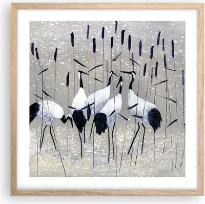 Produktbild von Gerahmtes Poster - Rahmen in heller Eiche - Vogel Natur Wasser - 50x50 cm - Wand Bild - Wanddeko - Wandbilder - Wandposter - Bilderrahmen - Bilder - Kunstdruck - Wandbild - P2NAC50x50-3687