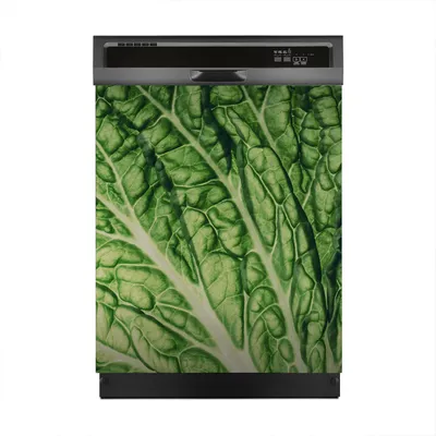 Produktbild von Aufkleber sticker 60x70 cm Dekorative folie Spülmaschine - Chinakohl