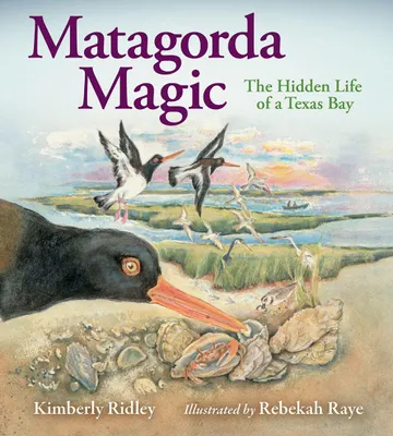 Produktbild von Matagorda Magic