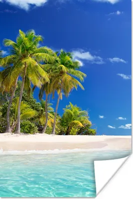 Produktbild von MuchoWow® Poster Strand - Meer - Palme - Sonne - Sommer 120x180 cm - Kunstposter