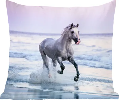 Produktbild von MuchoWow® Zierkissen Sofakissen Wohnzimmer Dekokissen 50x50 cm Pferd - Meer - Pastell - Komfort - Sofakissen