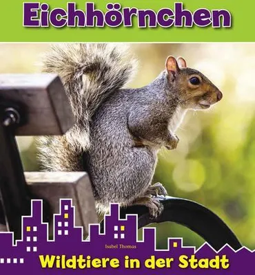 Produktbild von Eichhörnchen