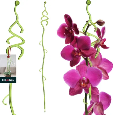 Produktbild von KOTARBAU® Pflanzenstütze Grün PVC 55 cm Tannenbaum Blumenstütze Rankhilfe Zimmerpflanzen Blumenstütze Garten Orchideenstab Stützstab Pflanzen dekorative Pflanzenhalter Zimmerpflanzen Rankstäbe