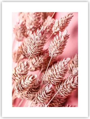 Produktbild von Poster - Poster ohne Rahmen - Klinge Gras getrocknet - 30x40 cm - Wand Bild - Wanddeko - Wandbilder - Kunstposter - Wandposter - Bilder - Kunstdruck - Wanddekoration - Wandbild - P2XPA30x40-5120