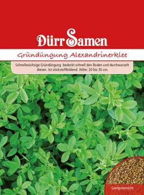 Produktbild von Gründünger Alexandrinerklee Portionstüte 50 g | Gründünger von Dürr Samen