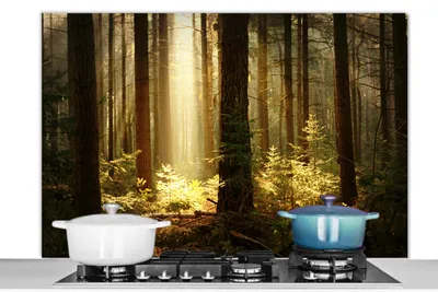 Obrázok produktu pre MuchoWow® Splashback Kuchyňa - Kuchynský backsplash - Ochrana steny pre sporák a drez Les - stromy - slnko 120x80cm Alu-Dibond (alternatíva k
