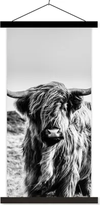 Produktbild von MuchoWow® Textilposter Kuh - Schottisches Hochlandrind - Schwarz - Weiß - Tier - Natur - Wildtiere 40x80 cm mit schwarzem Rahmen - Wandemalerei