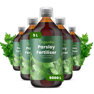 Obrázok produktu pre Tekuté hnojivo na petržlen, 5 x 1 liter – NPK 2-1-8 – Vhodné pre petržlen – Podporuje dlhodobý rast, zdravé listy a vysoké úrody – Organifer