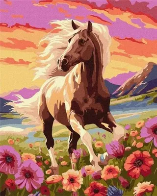 Produktbild von Malen nach Zahlen – Anmutvolles Pferd, 40x50 cm – Ideyka