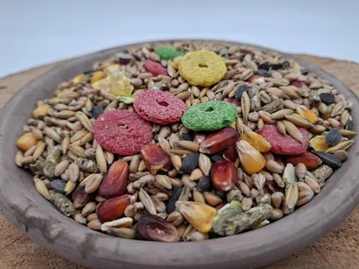 Produktbild von Getreidebasiertes Nagerfutter für alle Nager 25 kg – Alleinfuttermittel & Ergänzungsfutter