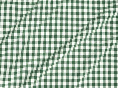 Produktbild von Züchen Meterware Bauernkaro kariert Stoff Baumwolle 10 mm - grün-weiß kariert - Breite:140 cm