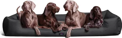 Produktbild von tierlando® Orthopädisches Hundebett GOOFY >> inkl. Matratzenschoner << Polyester - Größe: 160x110cm | Farbe: 02 Graphit