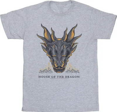 Produktbild von Game Of Thrones: House Of The Dragon - T-Shirt für Herren BI28838 (L) (Grau)