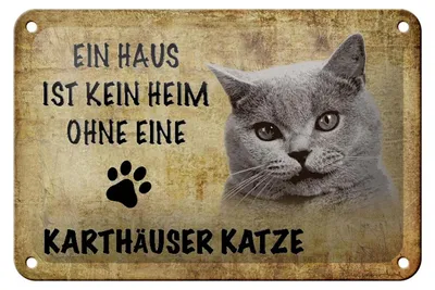 Produktbild von Blechschild Spruch 18x12cm Karthäuser Katze ohne kein Heim