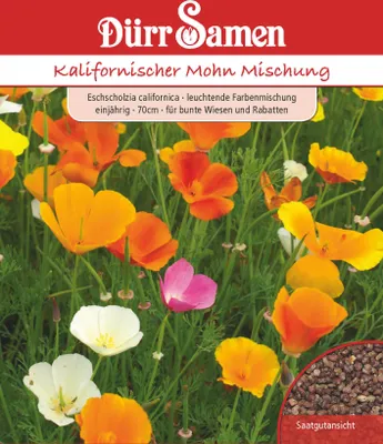 Produktbild von Dürr-Samen - Kalifornischer Mohn leuchtende Farbmischung einjährig - Saatgut - 1857