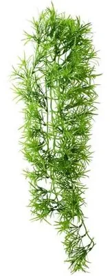 Productafbeelding van Hobby Terrano Climber Tropica hangend terrarium kunstplant 37 of 70cm 70CM