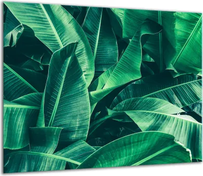 Produktbild von Herdabdeckplatten Glaskeramikkochfeld-Abdeckung Spritzschutz Glas 60x52cm Blumen