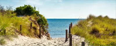 Produktbild von Wallario selbstklebendes Poster - Auf dem Sandweg zum Strand, Größe: 50 x 125 cm