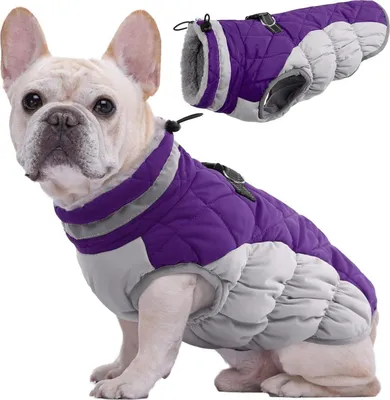 Immagine prodotto di Cappotto impermeabile per cani Giacca invernale per cani di piccola e grande taglia XS-XXXL Viola