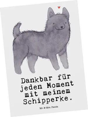 Produktbild von Mr. & Mrs. Panda Postkarte Schipperke Moment - Weiß - Geschenk, Ansichtskarte, Belgische Hunderasse, Ansichtskarten, Postkarten, Grußkarte, bildkarte