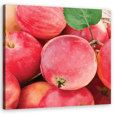 Produktbild von Leinwandbild Makroaufnahme von Äpfeln 50x50 Feeby Rosa bild für die wand bereit zum aufhängen