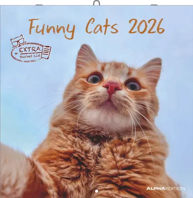 Image de Funny Cats 2026 - Calendrier broché 30x30 cm (30x60 ouvert) - Calendrier avec espace pour notes - Chats - Calendrier illustré - Planificateur mural - Calendrier pour chats