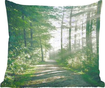 Produktbild von MuchoWow® Zierkissen Sofakissen Wohnzimmer Dekokissen 50x50 cm Wald - Weg - Sonne - Bäume - Grün - Natur - Komfort - Sofakissen