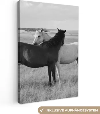 Produktbild von MuchoWow® - Leinwandbilder - Pferde - Tiere - Porträt - Schwarz-Weiß - Landleben, Wandbild, Wanddeko Bilder Wohnzimmer, 60x90cm