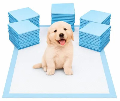 Produktbild von Hundetrainingspads 45 x 60 cm 50 Stück Hygienematten für Welpen