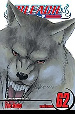 Image de Bleach, Vol. 62
