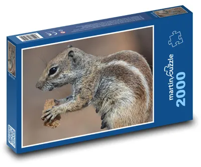 Obrázok produktu pre Puzzle 2000 Veverička s kúskom jedla - martinpuzzle