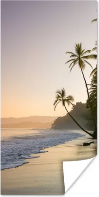 Produktbild von MuchoWow® Poster Strand - Meer - Palme 20x40 cm - Plakat - Foto