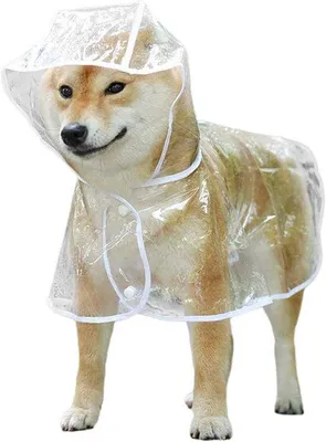 Produktbild von Wasserdichter Hundemantel mit Kapuze für kleine Hunde