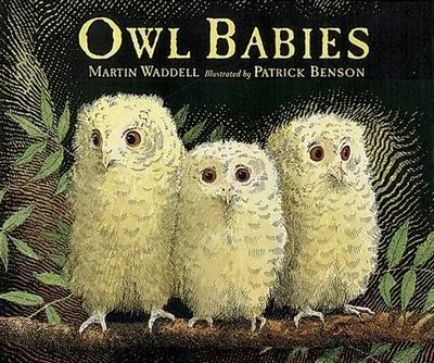 Obrázok produktu pre Owl Babies