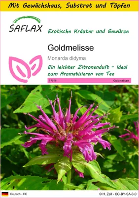 Produktbild von SAFLAX Anzucht Set - Goldmelisse - Monarda didyma - 20 Samen - Mit Mini-Gewächshaus, Anzuchtsubstrat und 2 Töpfen