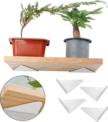 Two potted plants on a wooden shelf, with shelf brackets shown in detail.