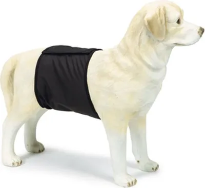 Produktbild von Beeztees Inkontinenz Bauchband - Hund - schwarz - XS - 40x10 cm