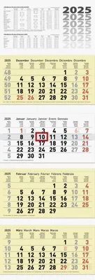 Zdjęcie produktu dla Brunnen 1070214105 Kalendarz czteromiesięczny (2025) | 1 kartka = 1 miesiąc | 320 × 165 mm | 12 kartek