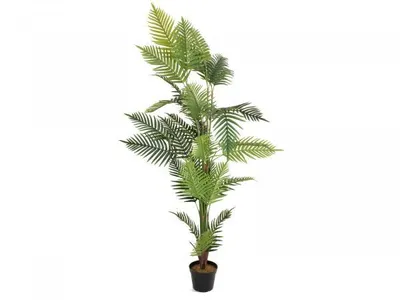 Immagine prodotto di EUROPALMS Palma Areca, pianta artificiale, 180 cm (82509415)