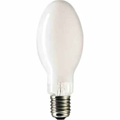 Produktbild von PHILIPS Halogen-Metalldampflampe MASTER 100W 2890K E40