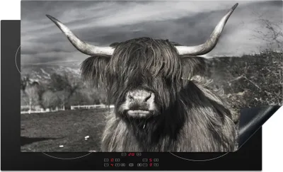 Produktbild von KitchenYeah© Herdabdeckplatte Schottischer Highlander - Tiere - Hörner , 90x52cm, Küche Deko, Glaskeramikkochfeld Herdabdeckung, Abdeckplatte fùr Kochfeld