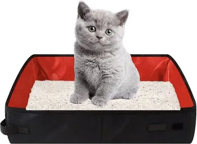 Produktbild von Famanu Katzenklo Tragbar und Faltbar - Für Zuhause und Unterwegs
