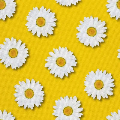 Immagine prodotto di OUTDOOR DEKOSTOFFE OXFORD - Motivo margherite su giallo I DX627