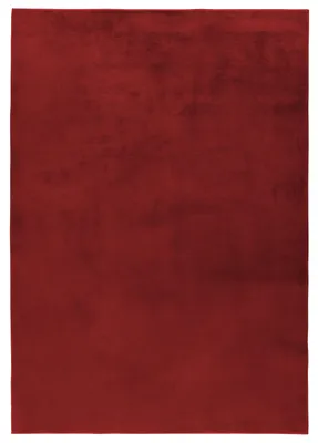 Image de Homebyhome Tapis à Poils Longs Doux Uni Effet Fourrure Moelleux Peluche Super Confortable pour Salon, Taille: 200x290 cm